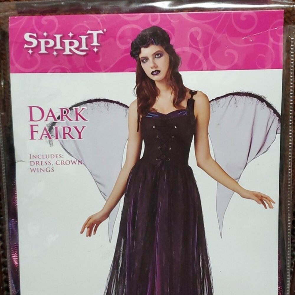 Dark fairy adult halloween costume medium 8 to 10